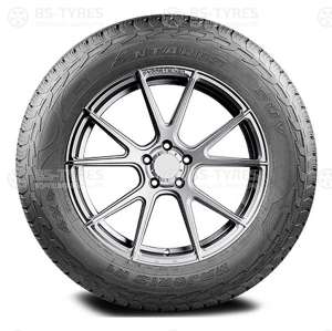 Antares Majoris R1 295/30 R22 103W