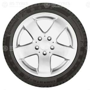 ContiVikingContact 6