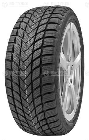 Delinte Winter WD6 225/55 R16 99V