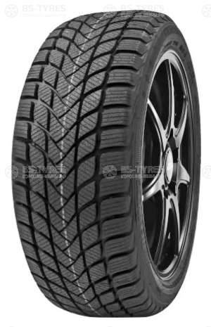 Delinte Winter WD6 225/55 R16 99V