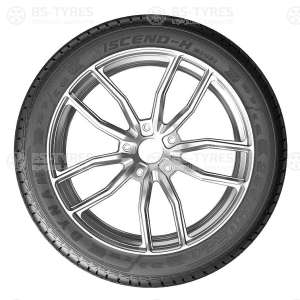 Dynamo Hiscend-H MSU01 245/55 R19 103V