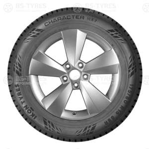 Ikon (Nokian Tyres) Character Ice 7 (Nordman 7) 205/60 R16 96T