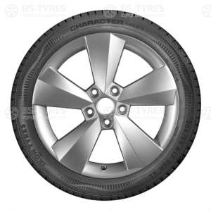 Ikon (Nokian Tyres) Character Snow 2 (Nordman RS2) 205/55 R17 95H