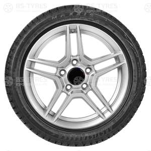 Maxxis SP-02 Arctic Trekker 225/55 R16 99T