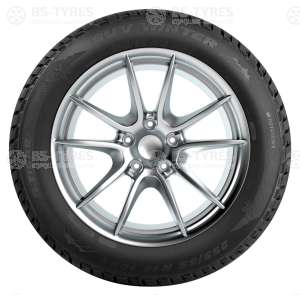 Tigar Winter SUV 275/45 R20 110V