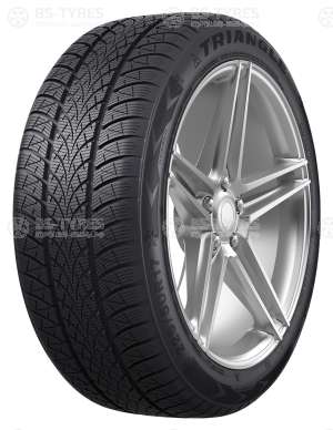 Triangle WinterX TW401 205/55 R17 95V