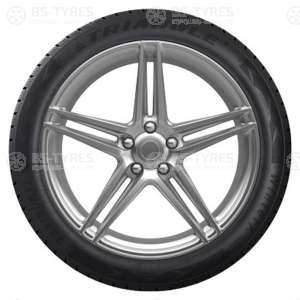 Triangle WinterX TW401 205/55 R17 95V