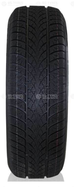 Triangle WinterX TW401 205/55 R17 95V