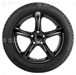 Tigar Ice 225/55 R17 101T