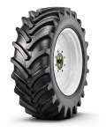 Pulmox RAG100 (AGRO10)