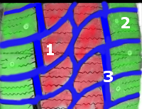 Tigar Cargo Speed Winter